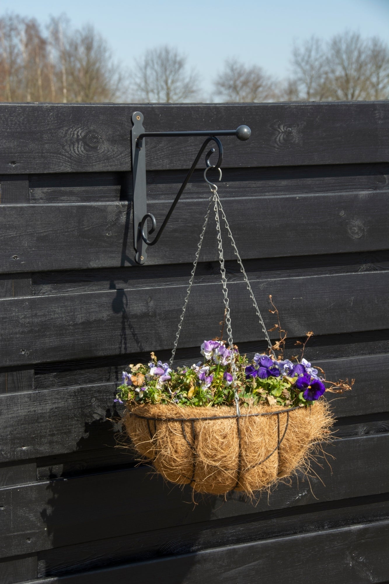 Black Metal Hanging Basket L 