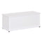HOMCOM Wooden Storage Box Clothes Toy Chest Flip-Top Lid Bench Seat Ottoman Blanket Trunk White