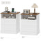 HOMCOM Nightstand Set of 2 with Charging Station, Bedside Tables with 2 Drawers, Open Shelf, AC Outlets, USB & USB-C Ports, White & Oak