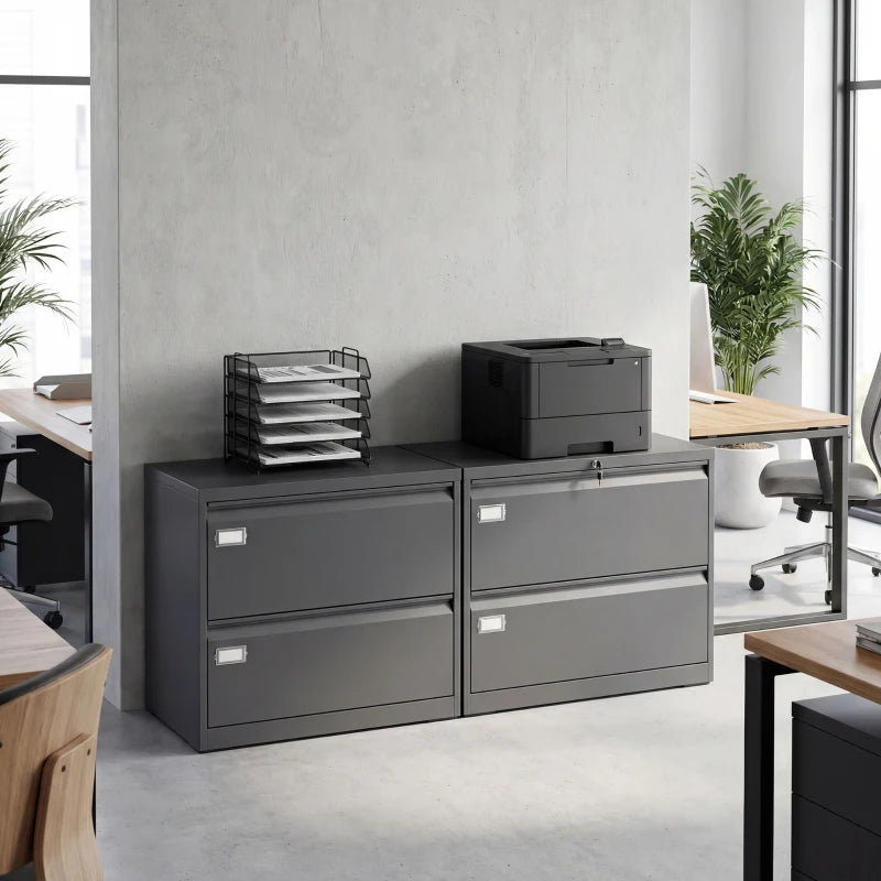 Lateral Filing Cabinet with 2 Drawers, Lockable Steel File Cabinet for A4/Letter/Legal Size Files, Black