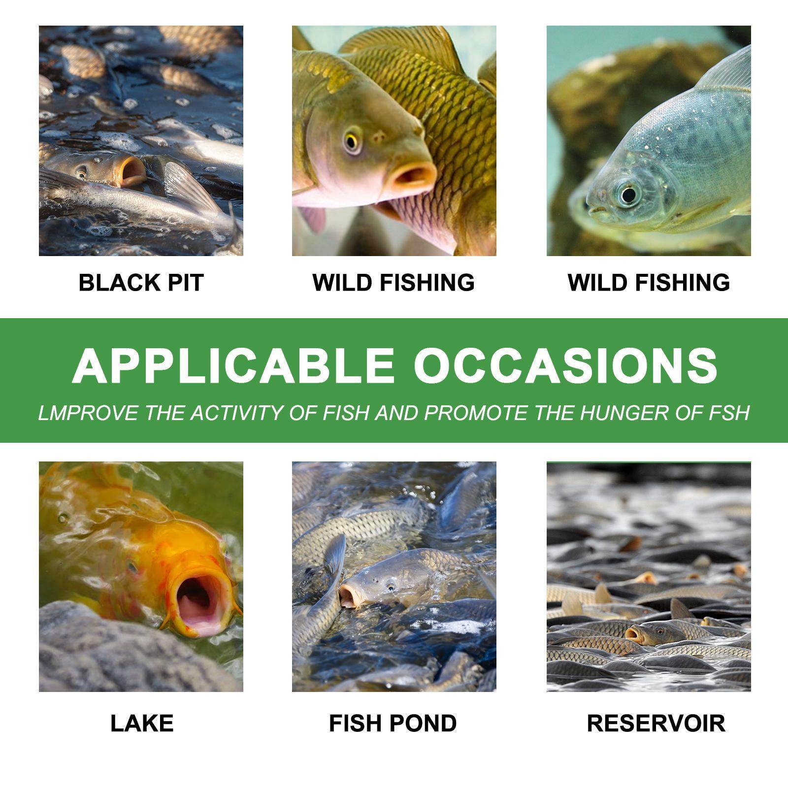 Igbang Wild Fishing Bait Small Medicine Fish Attractant 