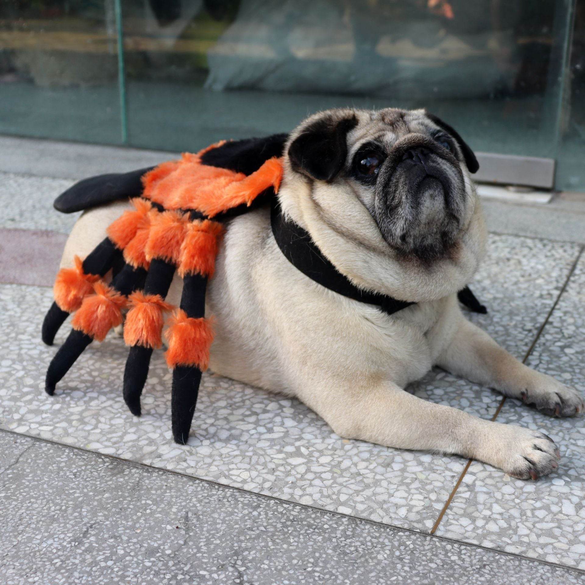 Pet Clothes Halloween Spider Pet Costume 