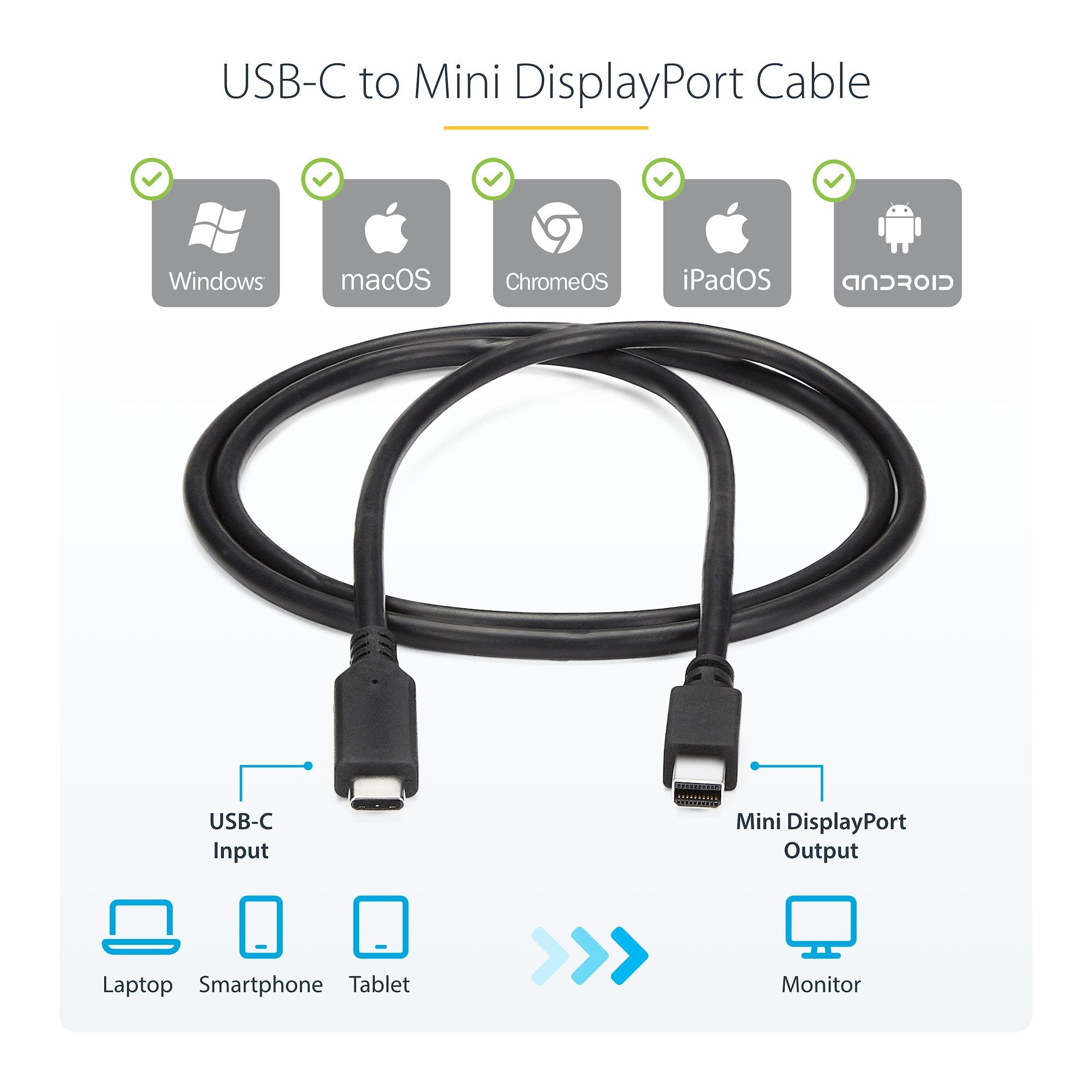 3.3 ft (1m) USB-C to Mini DisplayPort Cable - 4K 60Hz - Black 