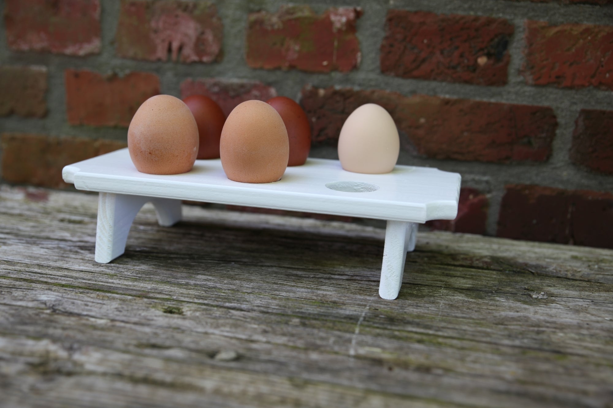 Egg Holder 