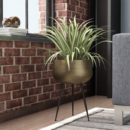 Sara - Brass Planter With Black Legs 