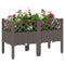 Raised Garden Bed with Legs, Self Watering Elevated Planter Boxes with Drainage Holes, 31.5
