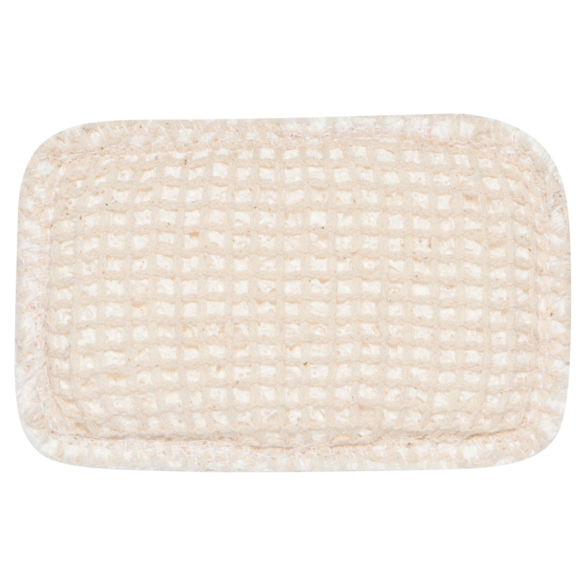 Dish Sponges, Set of 2 