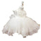 Birthday Photo Clothes Women's Tulle Tutu Super Fairy Princess Dress Girls Bow gown Christening dress Baptism dress