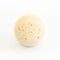 Eucalyptus Bath Bomb – Moisturizing Coconut & Avocado Oil Spa Soak with Eucalyptus Essential Oil, 2.8”