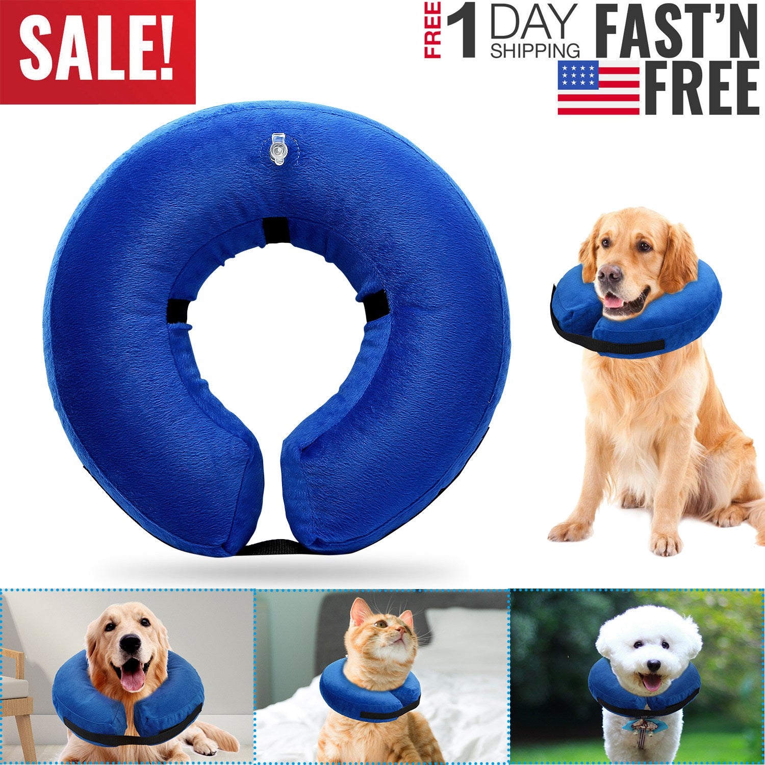 HG_InflatablePetCollar(S)_GPCT1386