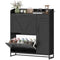 Farmhouse Shoe Storage Cabinet with Side Cabinet and Adjustable Shelves for Entryway, Hallway, Holds 12 Pairs, Black