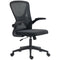 Mesh Office Chair, Swivel Desk Chair with Lumbar Back Support, Adjustable Height, Flip-Up Arm, Black
