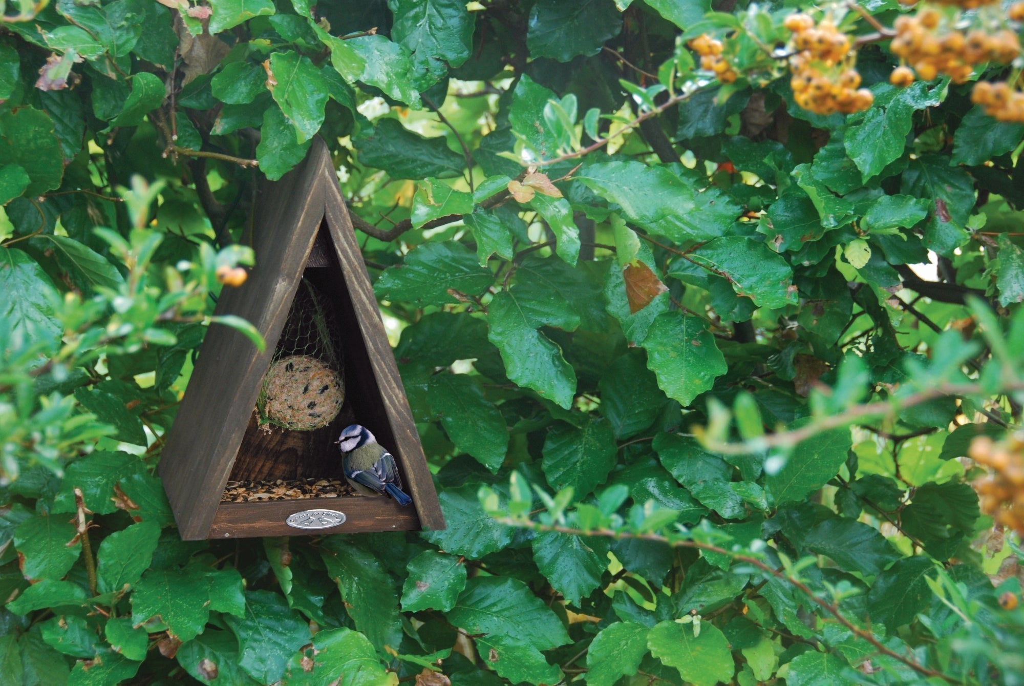 Triangle Birdfeeder. Pinewood. 