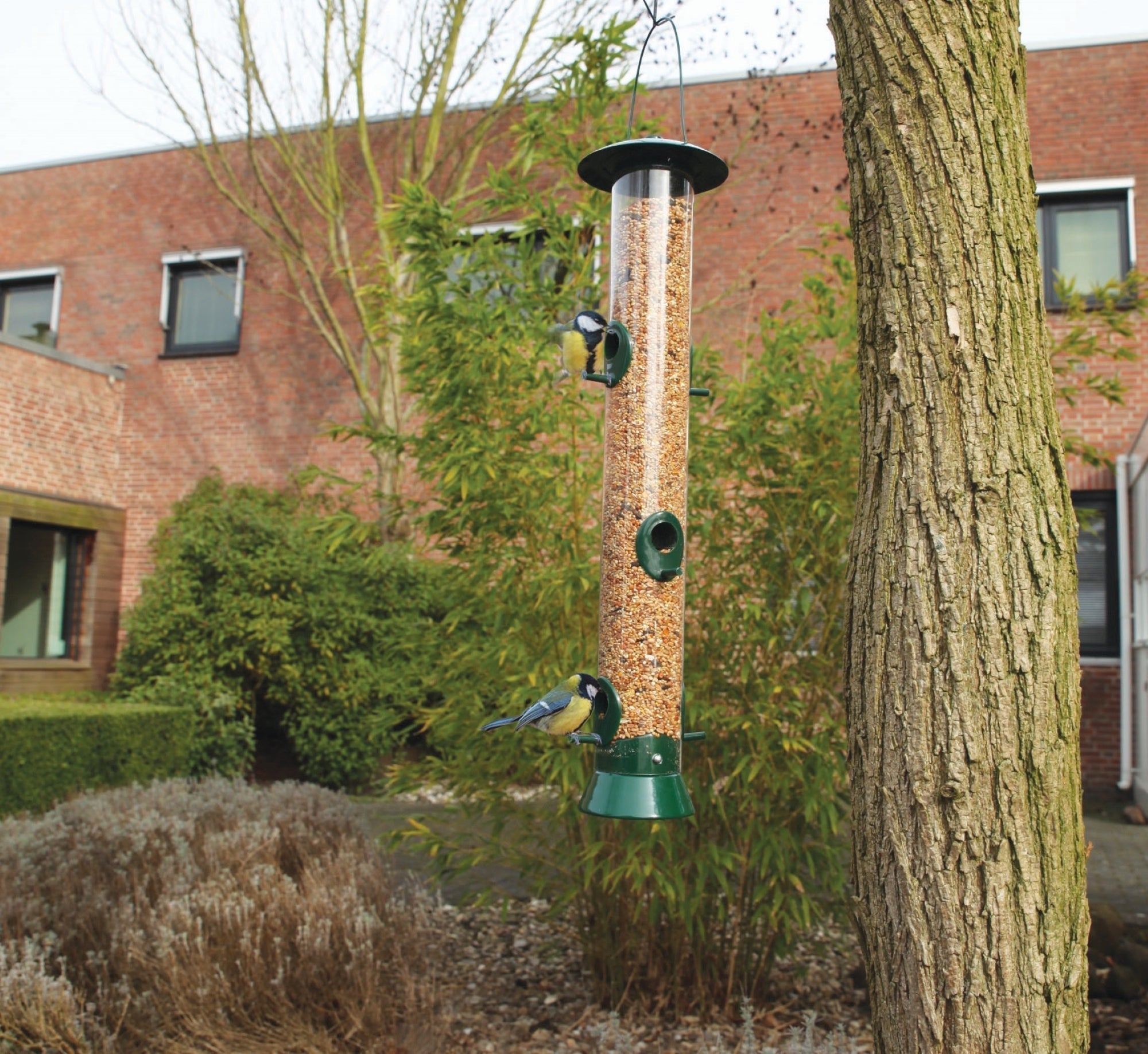 Seed Dispenser XL, Excl. Bird Food 