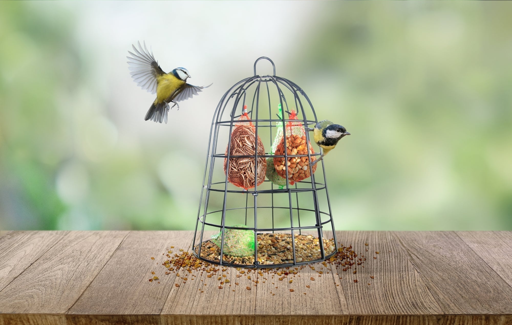 Bird Food Cage Including Bird Food 