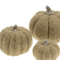 Felt Pumpkin – Moss Wool Decorative Pumpkin with Resin Stem, Handcrafted Autumn Décor in Small, Medium & Large Sizes