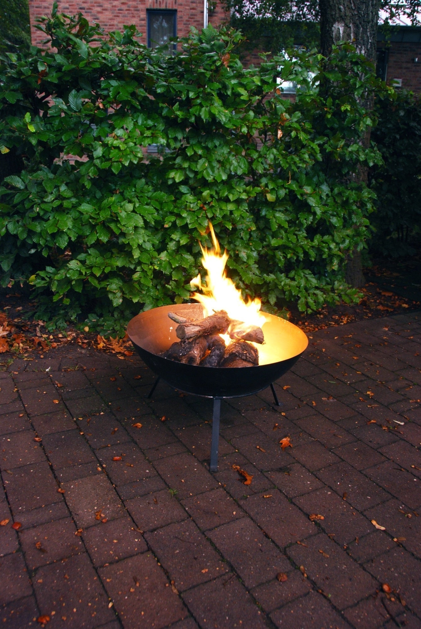 Firebowl 