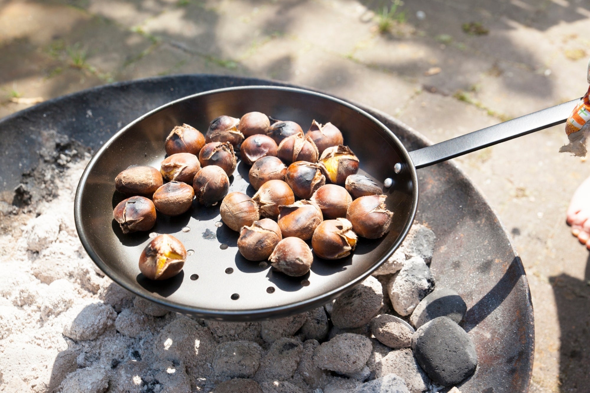Chestnut Pan 