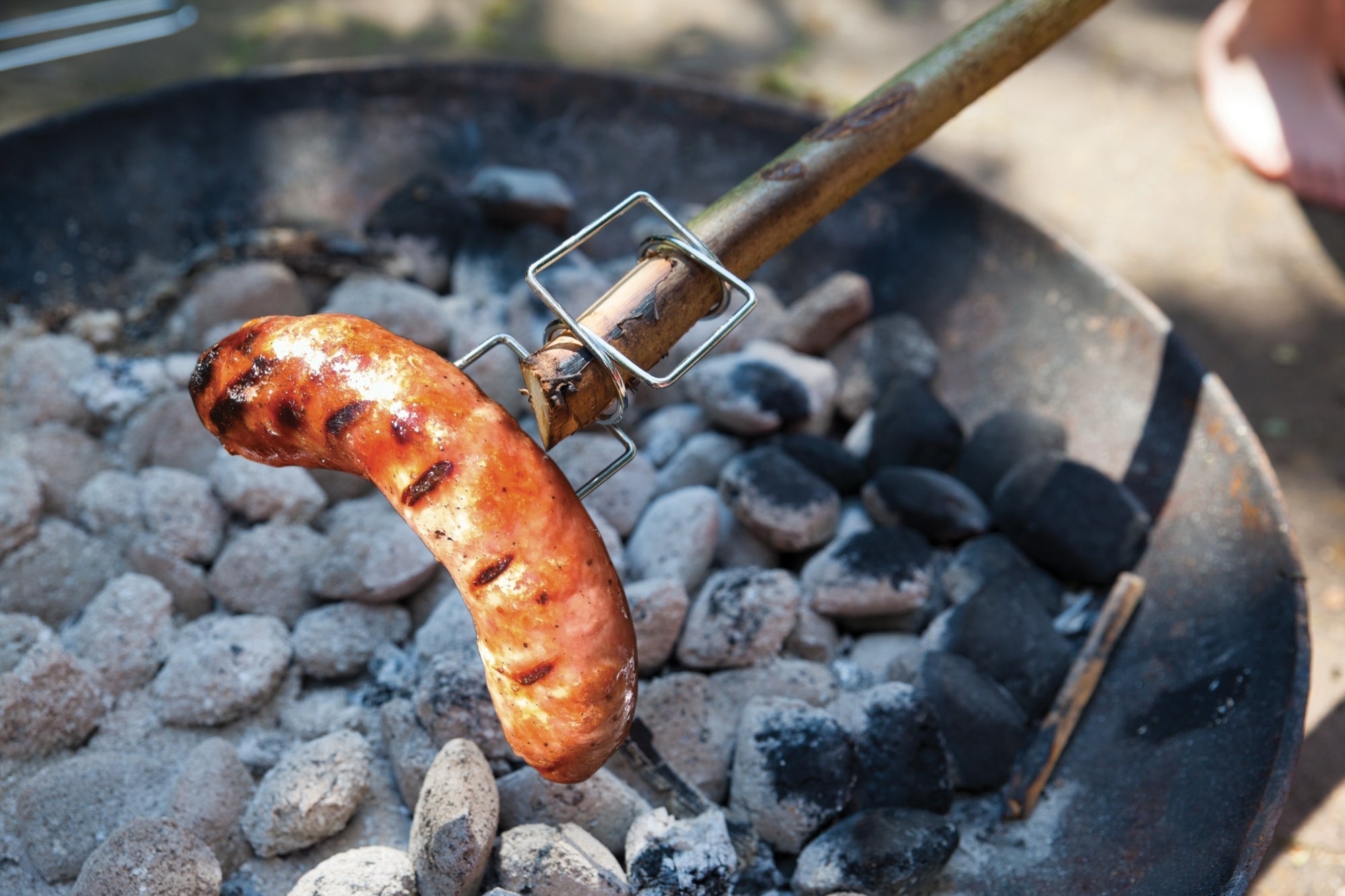 Tree Branch Grill Set/2 
