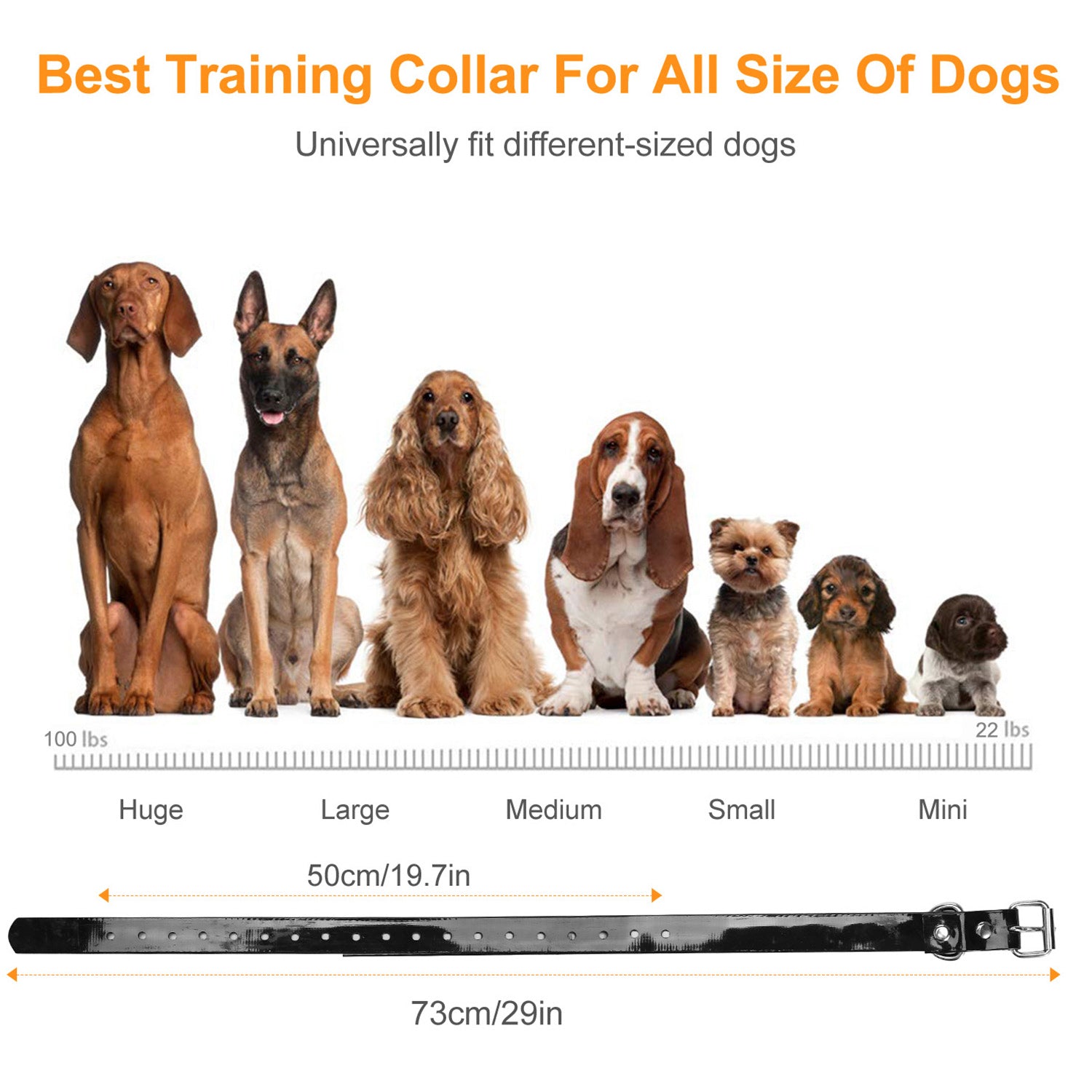 Dog Bark Collar IP67 Waterproof Rechargeable Dog Training Receiver Shock Collar Receiver with Beep Vibration Shock 9 Levels 1640ft Remote Range