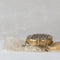 Footed Grater – Stainless Steel with Gold Finish, 6.5” Round x 2.5” H, Stable Kitchen Tool for Cheese, Citrus & Veggies