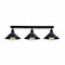 3-Light Flush Mount Ceiling Lights ~1552