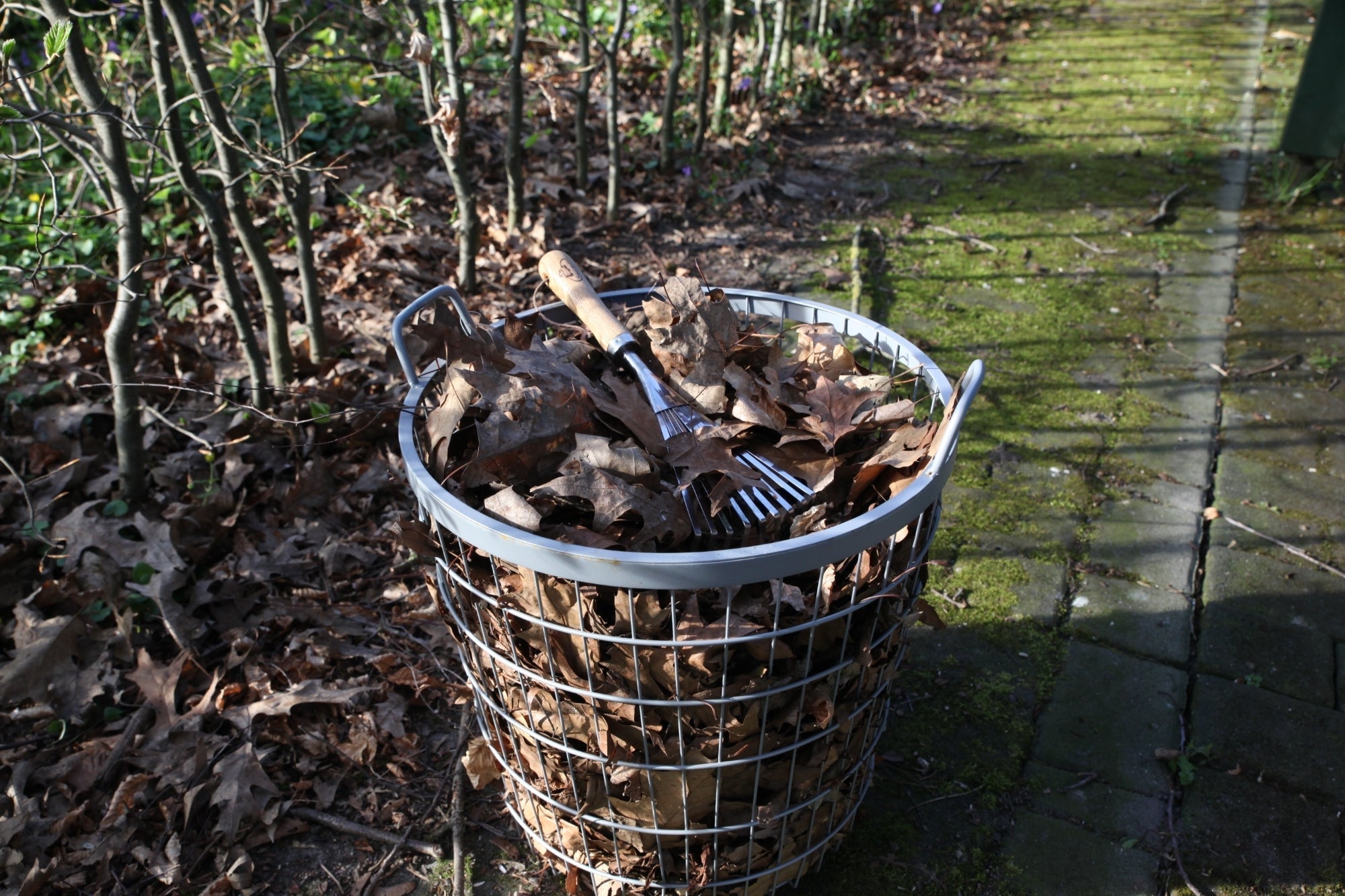 Hand Leaf Rake 