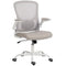 Ergonomic Mesh Office Chair with 4D Lumbar Support, Swivel Desk Chair with Flip-up Armrests, Tilt Function, Grey
