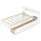 Twin Size Bed Frame with LED Light and Bookcase Headboard-White