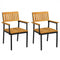 Patio Outdoor Dining Chair Set of 2 with Metal and Acacia Wood Frame