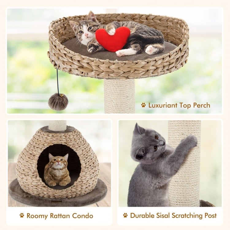 28 Inches Hand-Made Cat Tree Tower with Jump Platform-Coffee