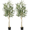 6 Feet Artificial Olive Tree in Cement Pot-2 Pieces