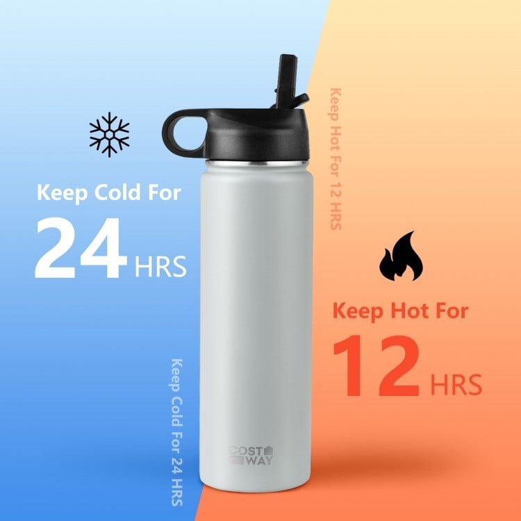 22 Oz Double-walled Insulated Stainless Steel Water Bottle with Straw Lid