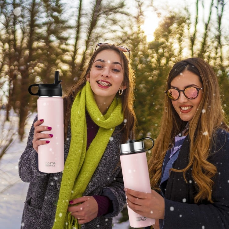 22 Oz Double-walled Insulated Stainless Steel Water Bottle with Straw Lid