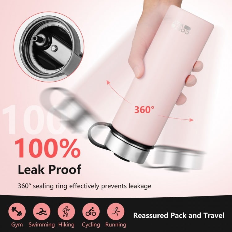 22 Oz Double-walled Insulated Stainless Steel Water Bottle with Straw Lid