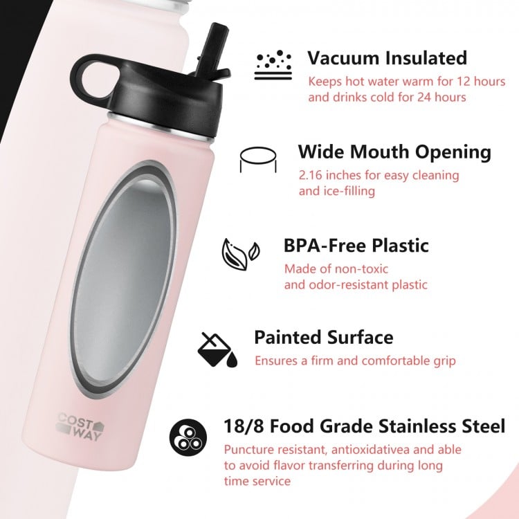 22 Oz Double-walled Insulated Stainless Steel Water Bottle with Straw Lid
