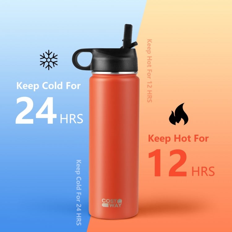 22 Oz Double-walled Insulated Stainless Steel Water Bottle with Straw Lid