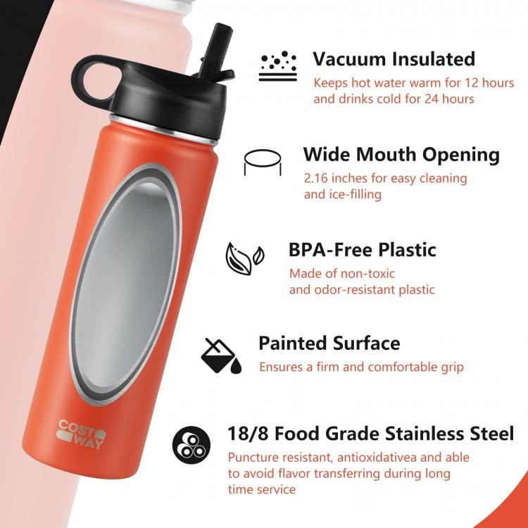 22 Oz Double-walled Insulated Stainless Steel Water Bottle with Straw Lid