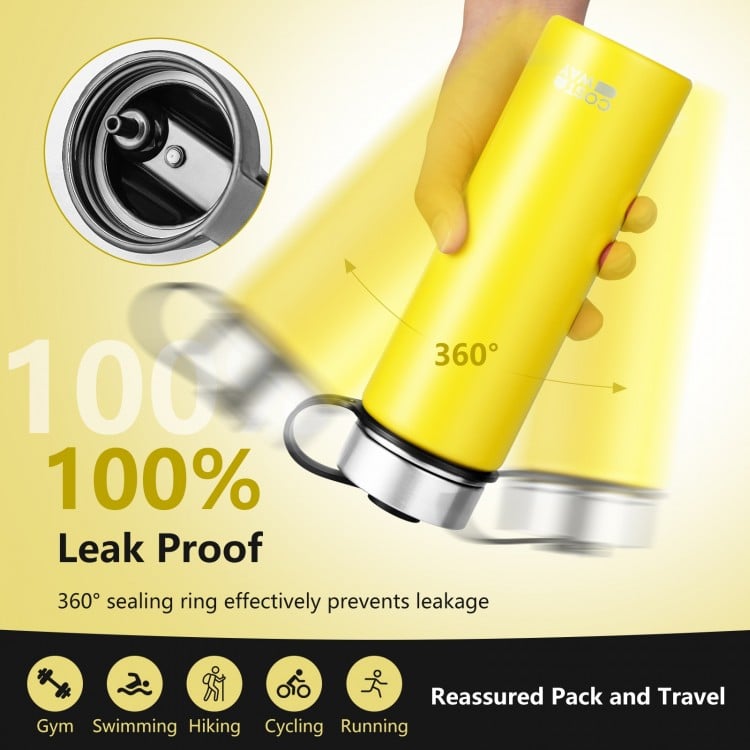 22 Oz Double-walled Insulated Stainless Steel Water Bottle with Straw Lid