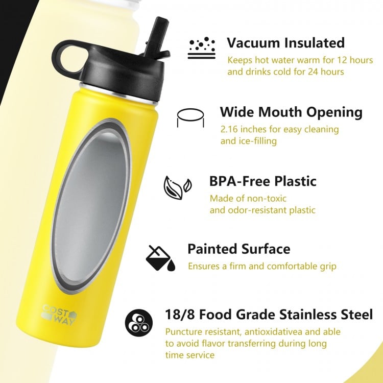 22 Oz Double-walled Insulated Stainless Steel Water Bottle with Straw Lid