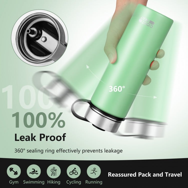 22 Oz Double-walled Insulated Stainless Steel Water Bottle with Straw Lid