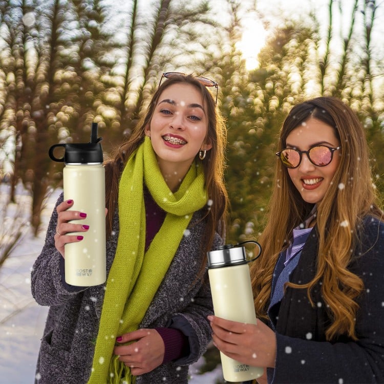 22 Oz Double-walled Insulated Stainless Steel Water Bottle with Straw Lid