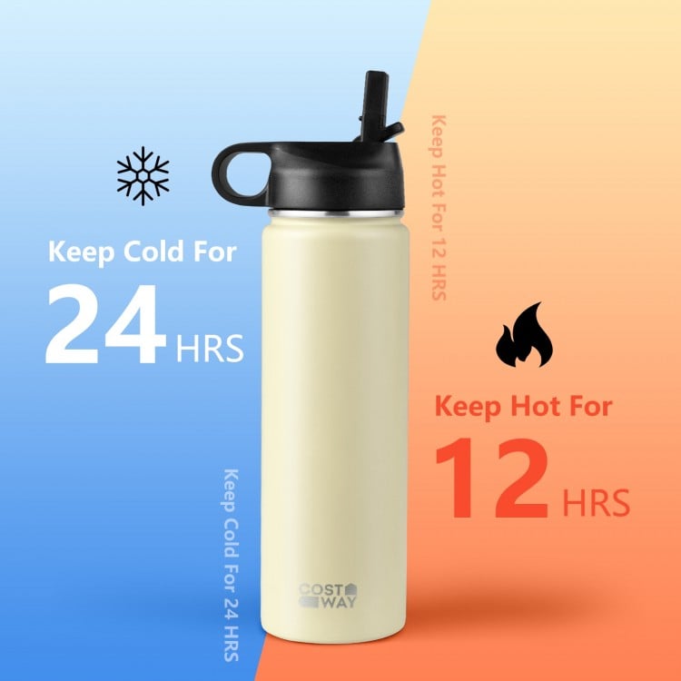 22 Oz Double-walled Insulated Stainless Steel Water Bottle with Straw Lid