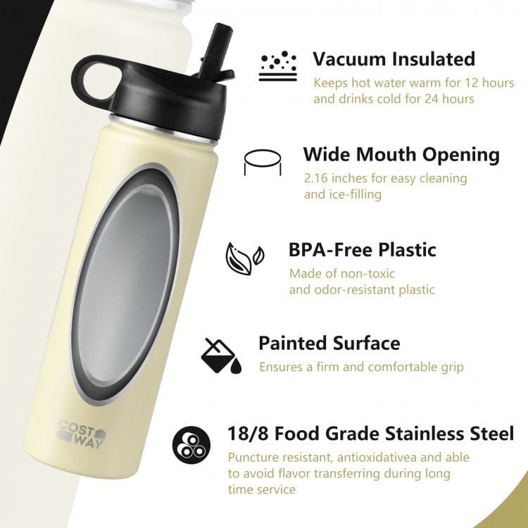 22 Oz Double-walled Insulated Stainless Steel Water Bottle with Straw Lid