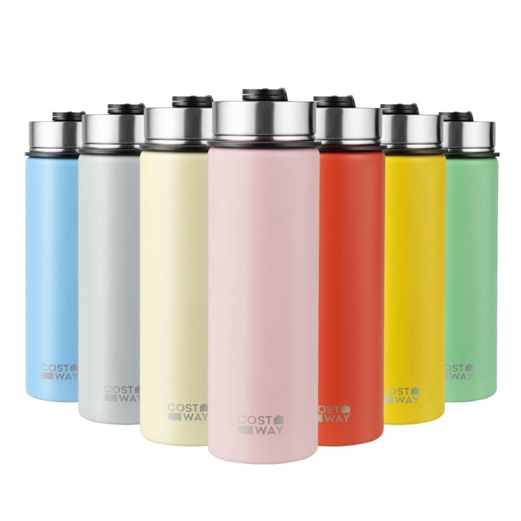 22 Oz Double-walled Insulated Stainless Steel Water Bottle with Straw Lid