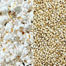 50 lbs Bulk White Hull-less Popcorn Kernels (Product of Canada) 