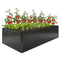 8' x 4' x 2' Raised Garden Bed, Galvanized Planter Box for Growing Flowers, Herbs and Vegetables, Black