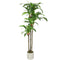 5FT Dracaena Fake Plant, Artificial Plant with Bendable Trunks for Home Office Decor, Green
