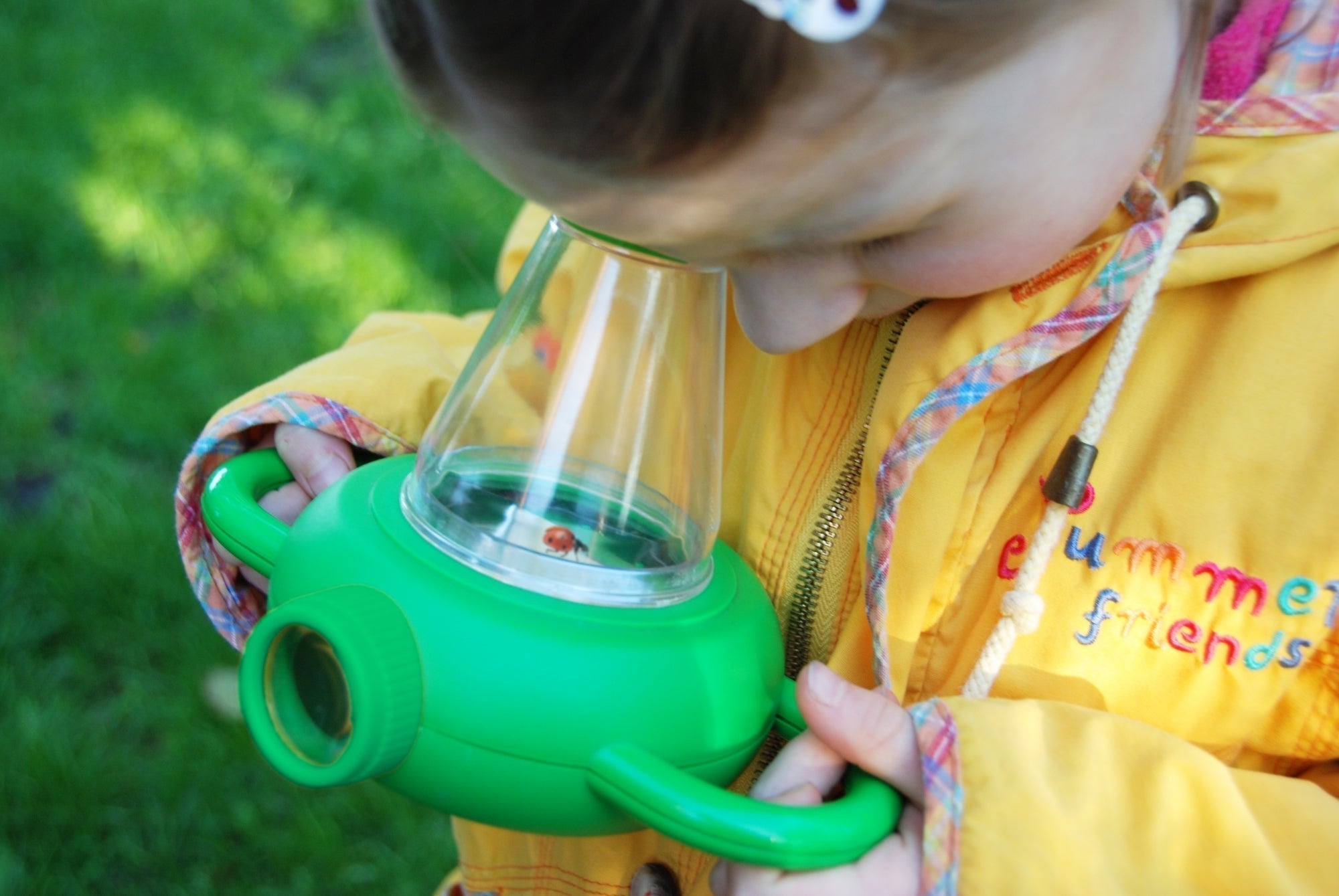 Insect Study Box (KG129) 