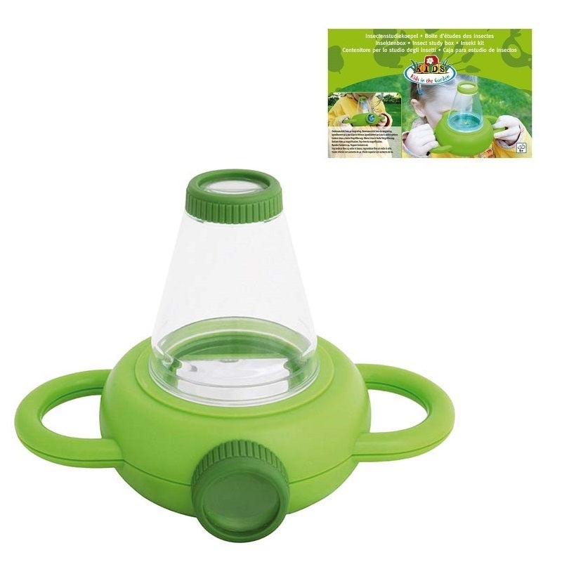 Insect Study Box (KG129) 